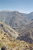 Colca Canyon